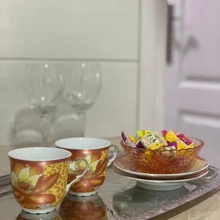 Vlajkovic 2 Apartman