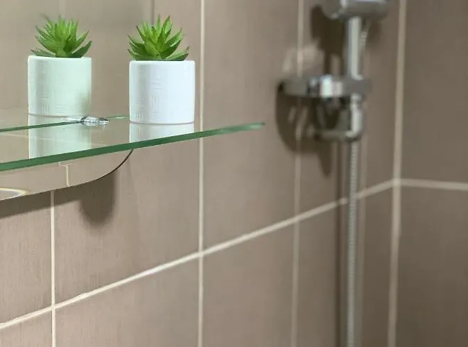 Apartmán Vlajkovic 2 Vrnjačka Banja