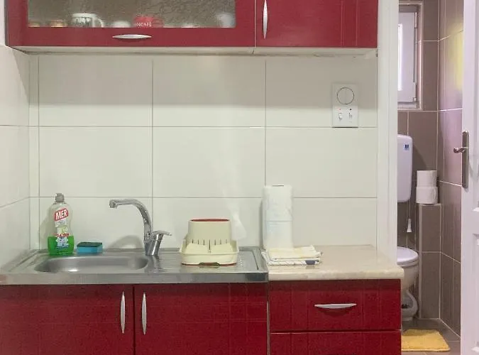 Vlajkovic 2 Apartmán Vrnjačka Banja